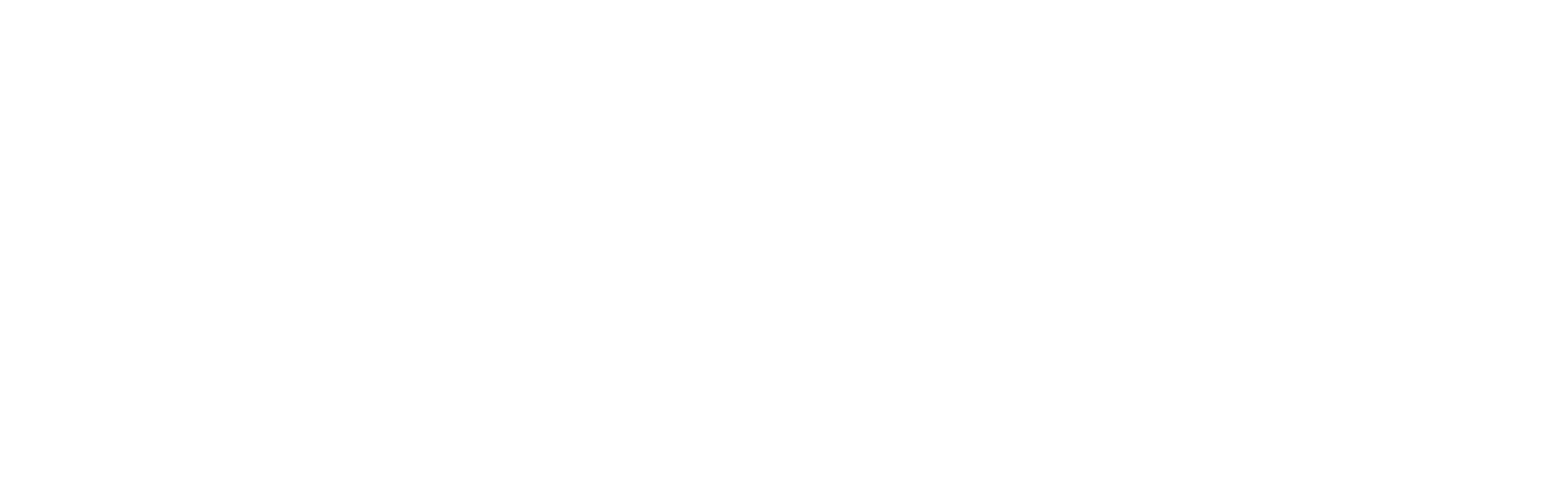 northbeam--white-logo